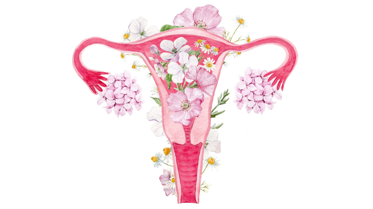 Beautiful illustration with watercolor part of woman body uterus with flowers