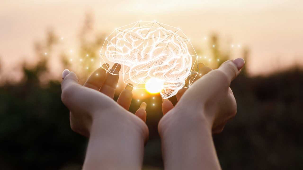 Female hand shows the brain in the sun.